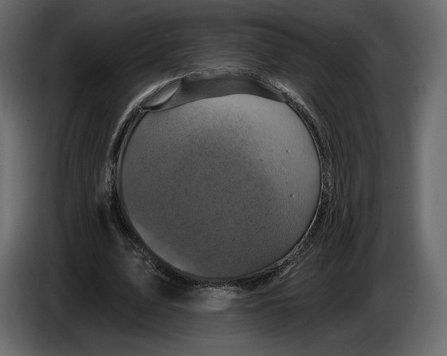 X0000084560583200703231801