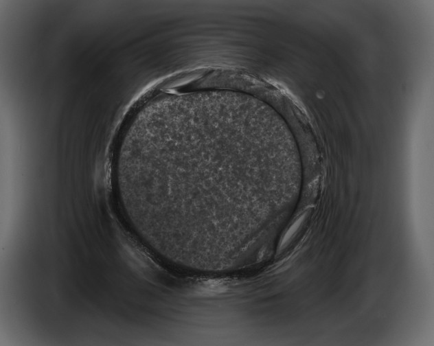 X0000084560584200703231801