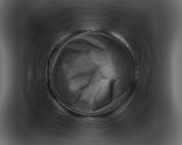 X0000084560585200703231801