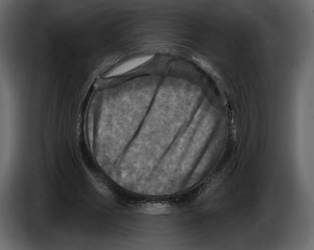 X0000084560586200703231801