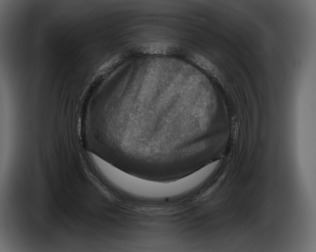 X0000084560589200703231801