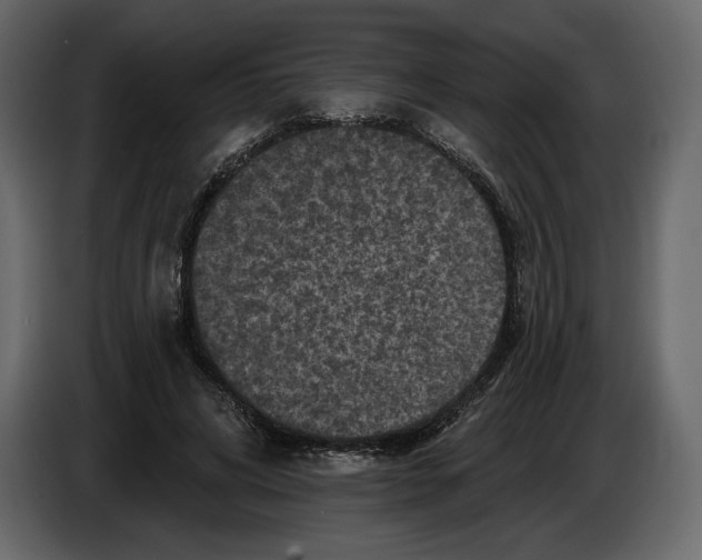 X0000084560592200703231800