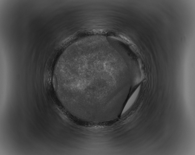 X0000084560593200703231800