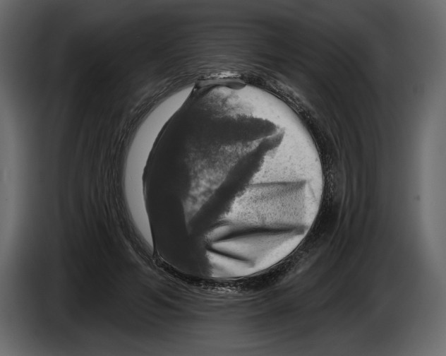 X0000084560594200703231800