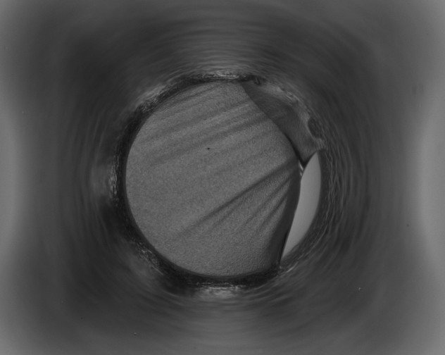 X0000084560595200703231800