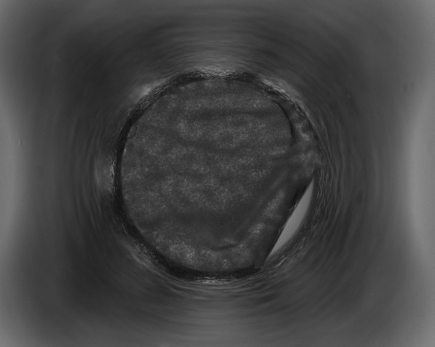 X0000084560596200703231800