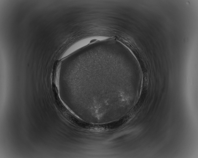 X0000084560598200703231800