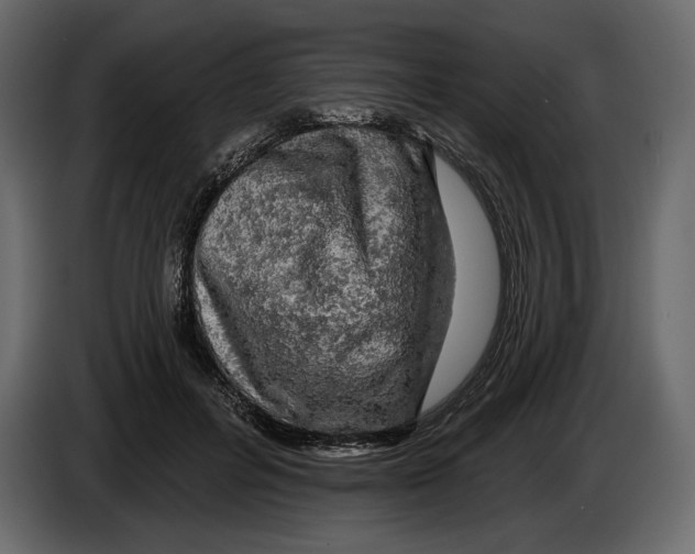 X0000084560600200703231800