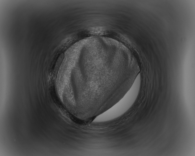 X0000084560601200703231800