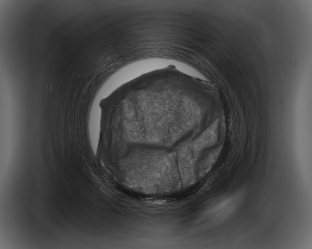 X0000084560602200703231800