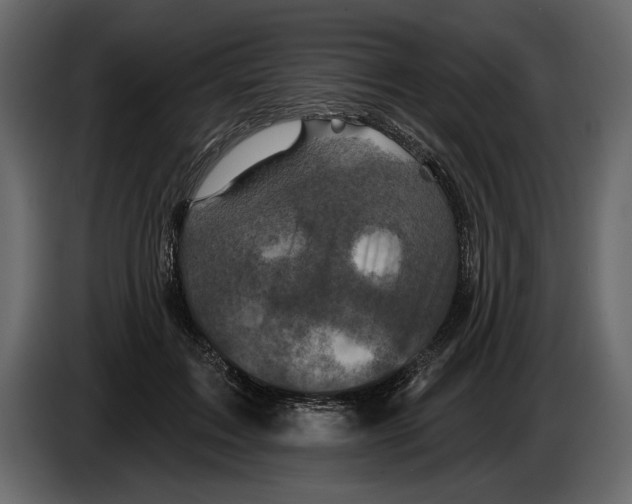 X0000084560603200703231800