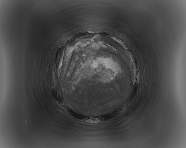 X0000084560604200703231800