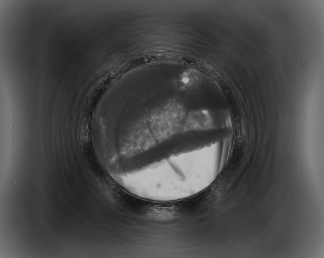 X0000084560606200703231800