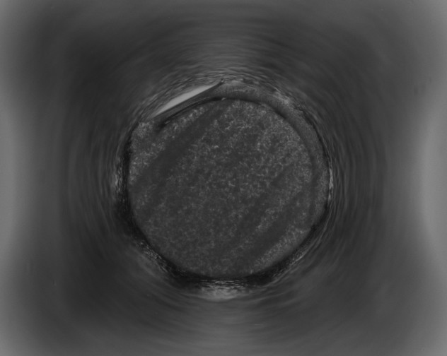 X0000084560608200703231800