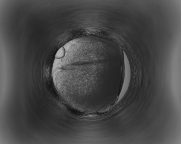 X0000084560610200703231800