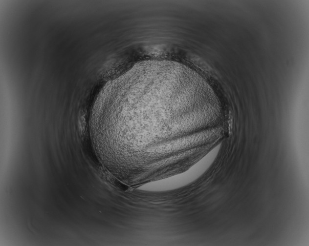 X0000084560611200703231800