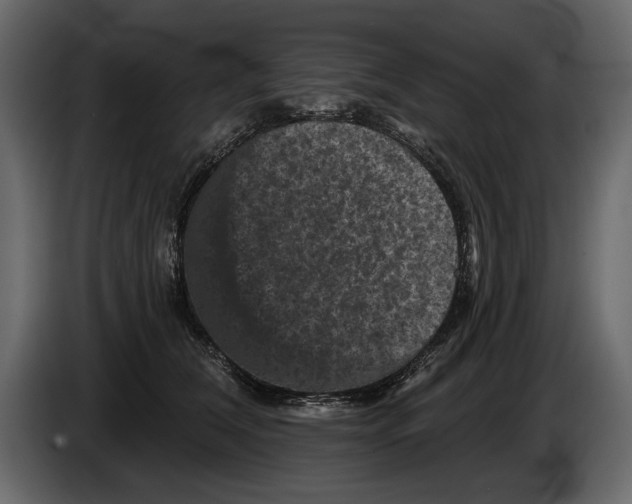 X0000084560612200703231800