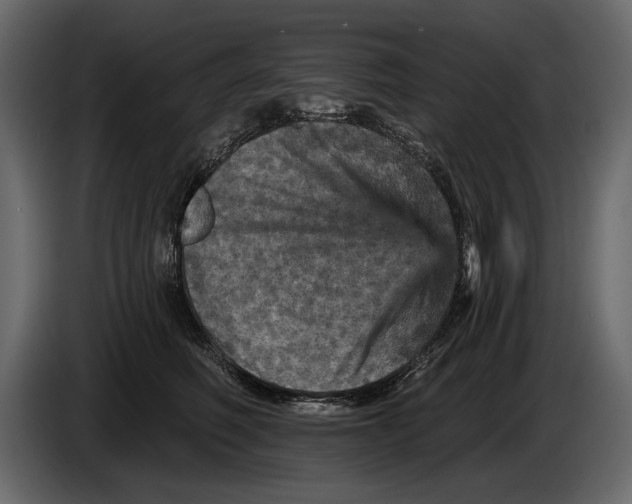 X0000084560614200703231800