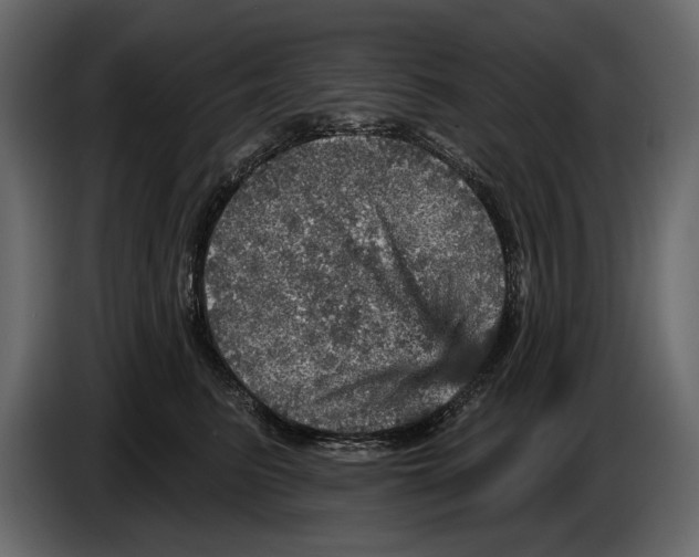 X0000084560615200703231800