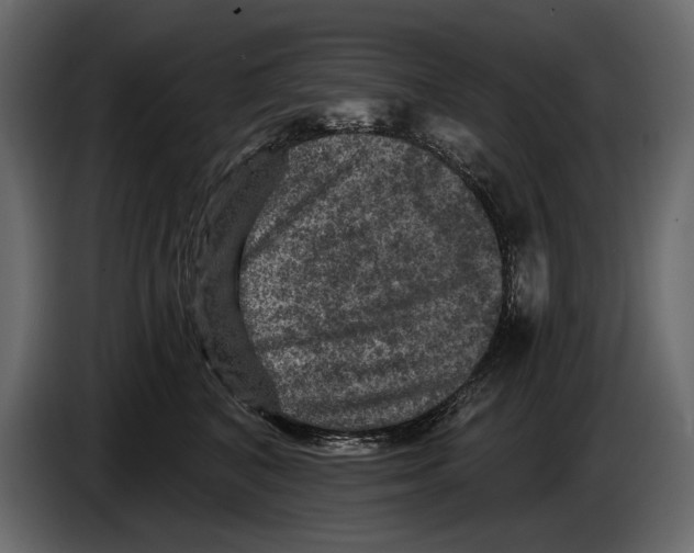 X0000084560616200703231800