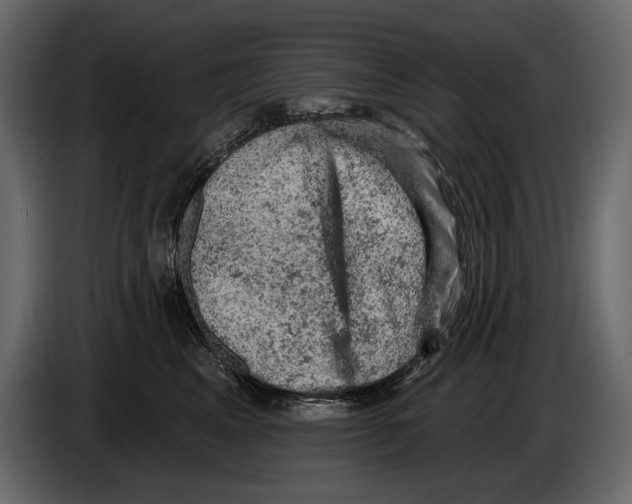 X0000084560617200703231800