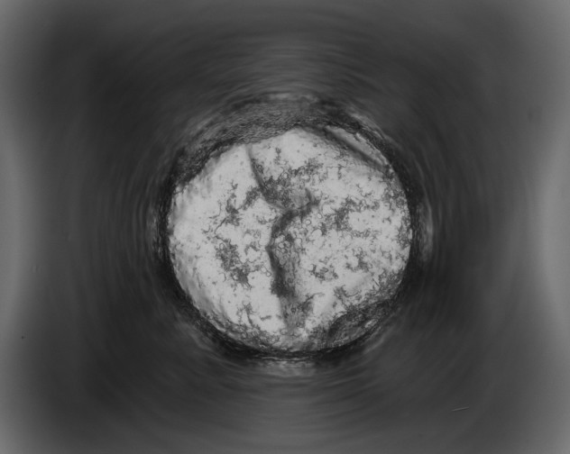 X0000084560619200703231800