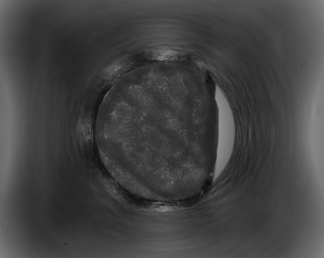 X0000084560620200703231800