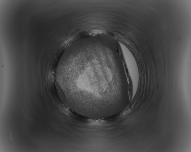 X0000084560621200703231800