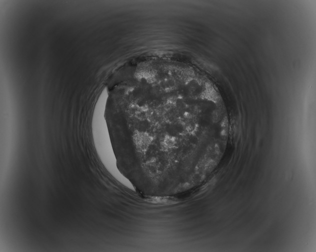 X0000084560623200703231800