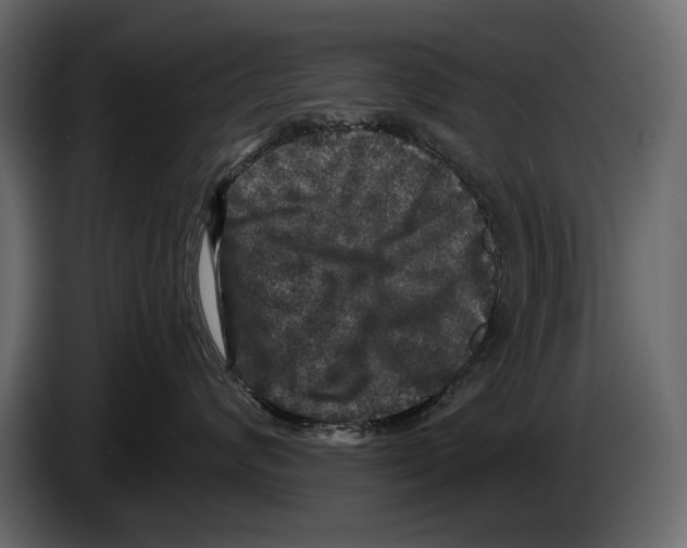 X0000084560624200703231800