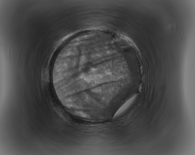 X0000084560628200703231759