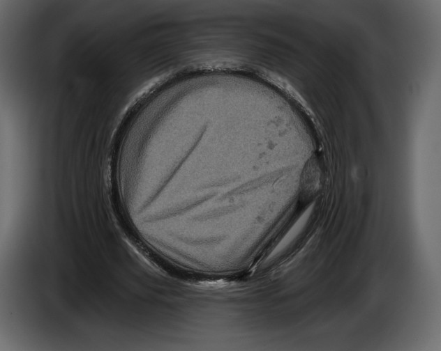 X0000084560629200703231759