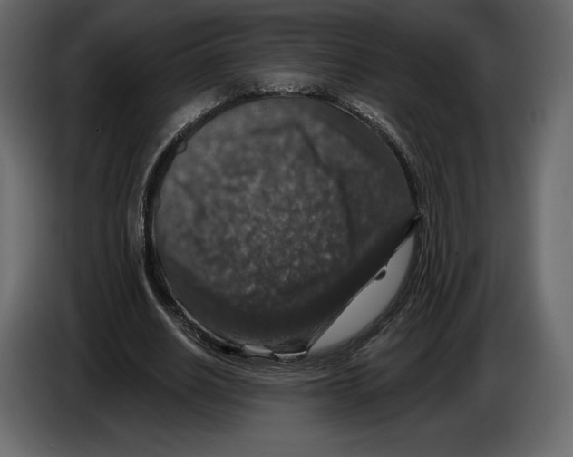 X0000084560630200703231759