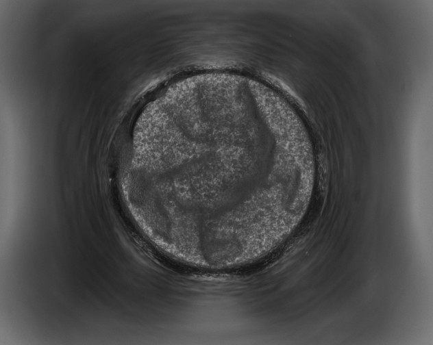 X0000084560631200703231759