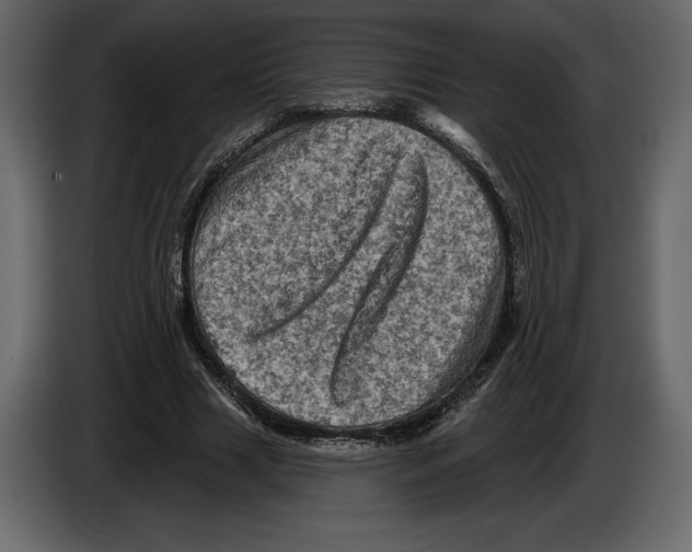 X0000084560633200703231759