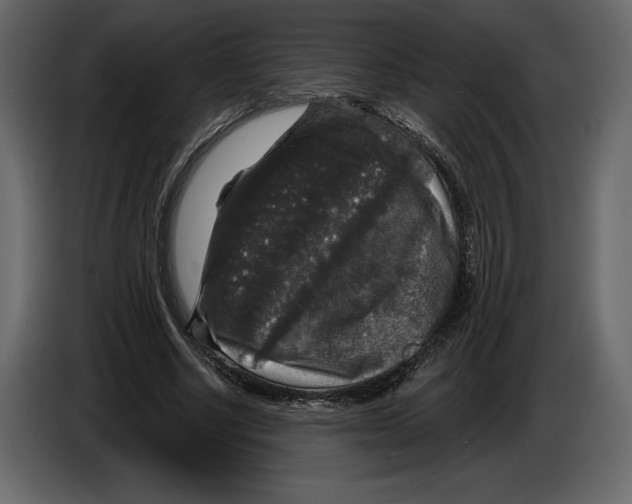 X0000084560634200703231759