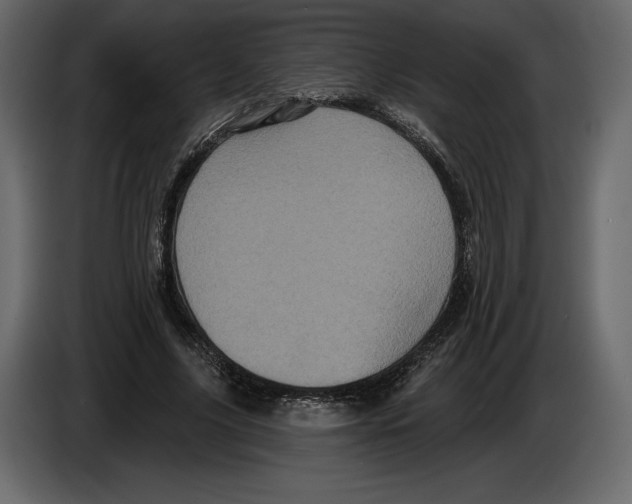 X0000084560635200703231759