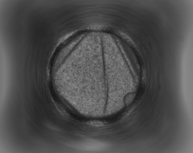 X0000084560636200703231759