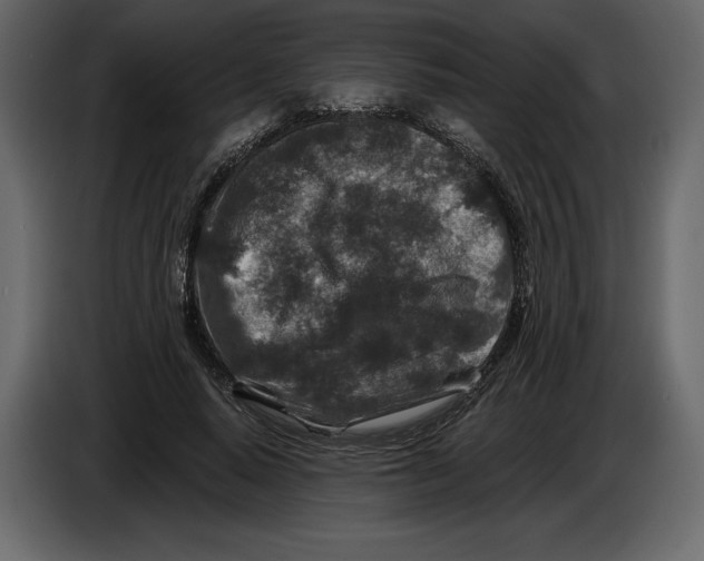 X0000084560640200703231759