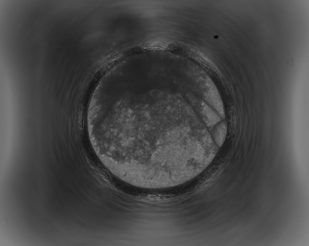 X0000084560641200703231759