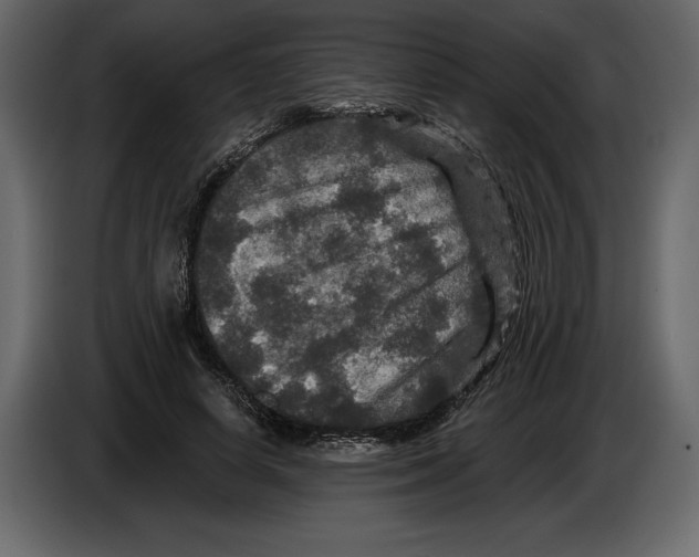 X0000084560642200703231759