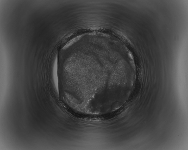 X0000084560643200703231759