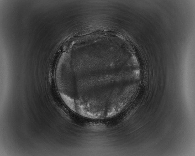 X0000084560644200703231759