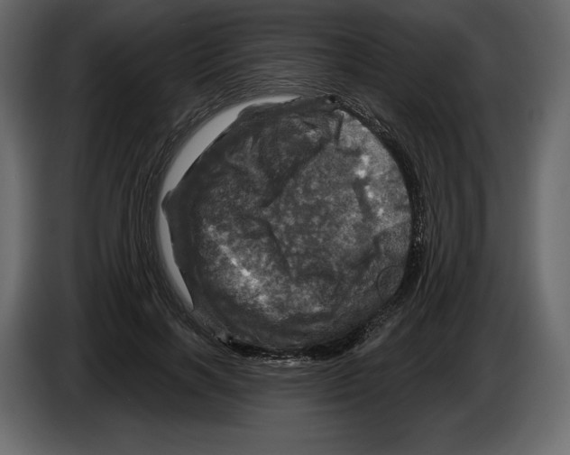 X0000084560646200703231759