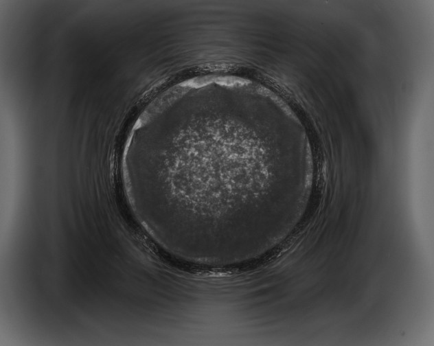 X0000084560647200703231759