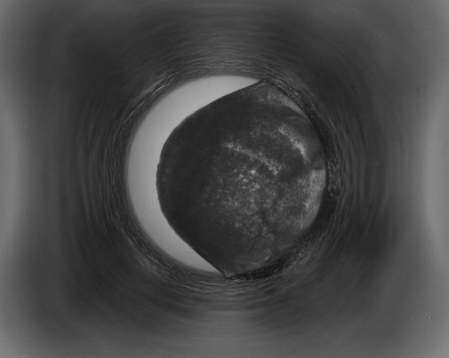 X0000084560648200703231759