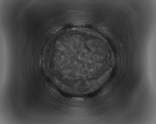 X0000084560649200703231759