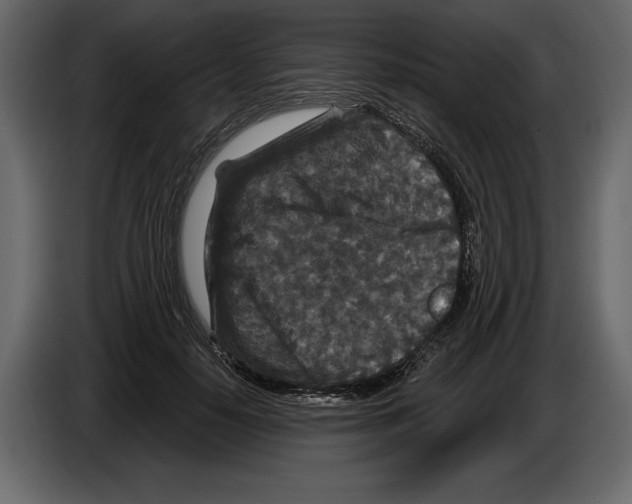 X0000084560650200703231800