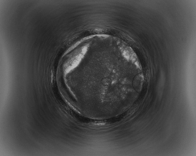 X0000084560651200703231800