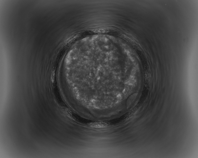 X0000084560652200703231800